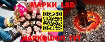 гидропоника Будённовск