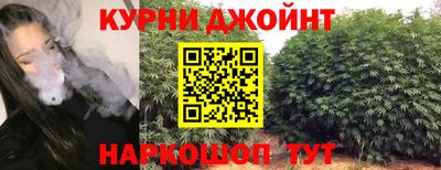 гидропоника Будённовск